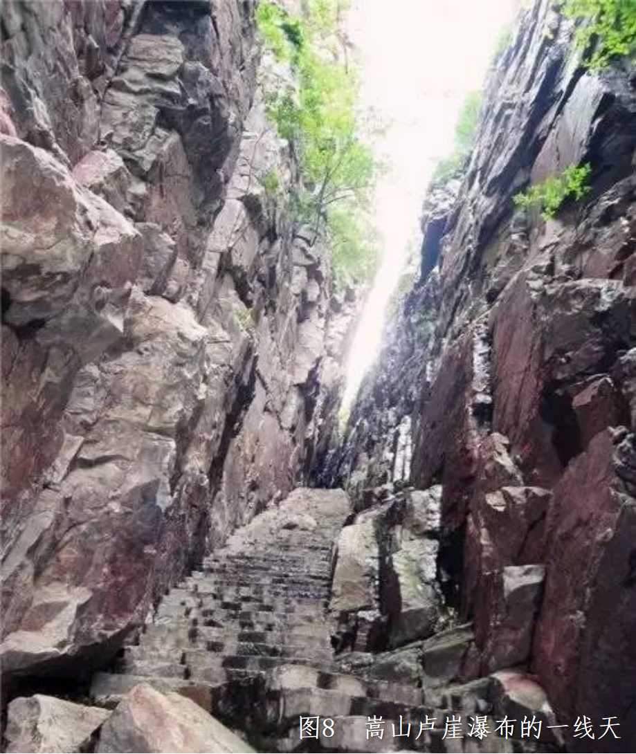 图片6.png 图片6.png