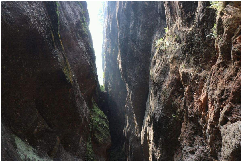 图片8.png 图片8.png