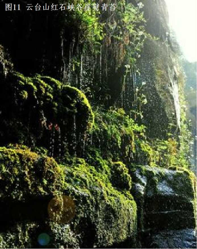 图片9.png 图片9.png