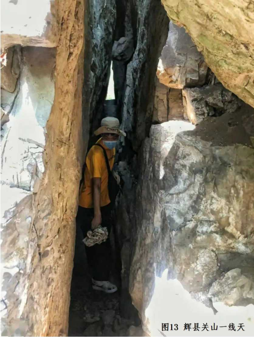 图片11.png 图片11.png