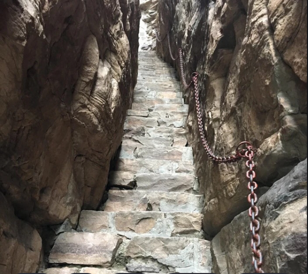 图片13.png 图片13.png