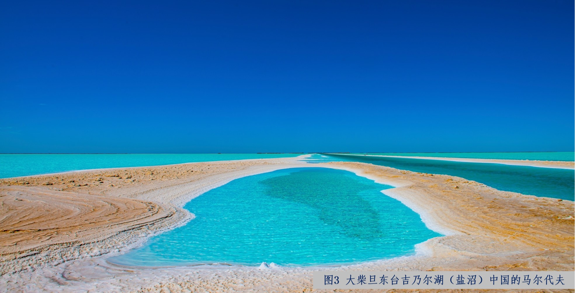 图片3.png 图片3.png