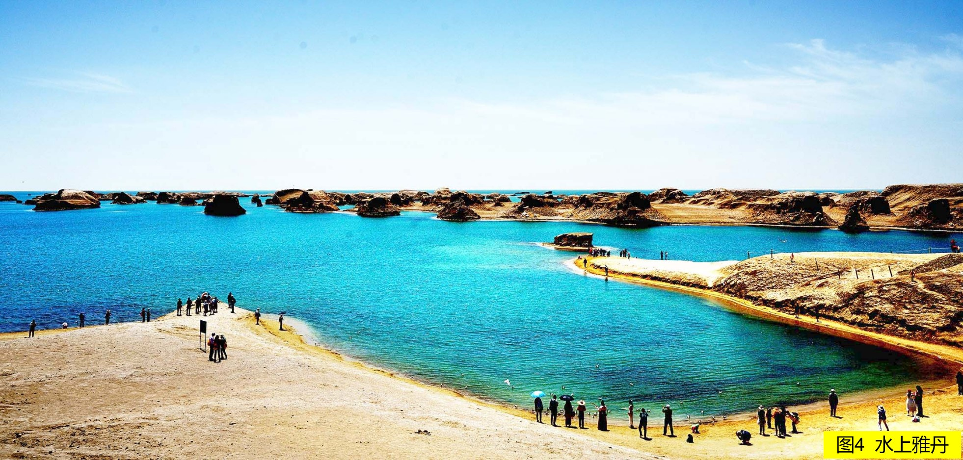 图片4.png 图片4.png