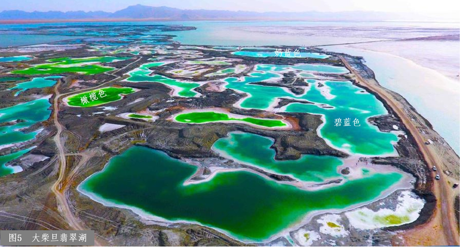 图片5.png 图片5.png