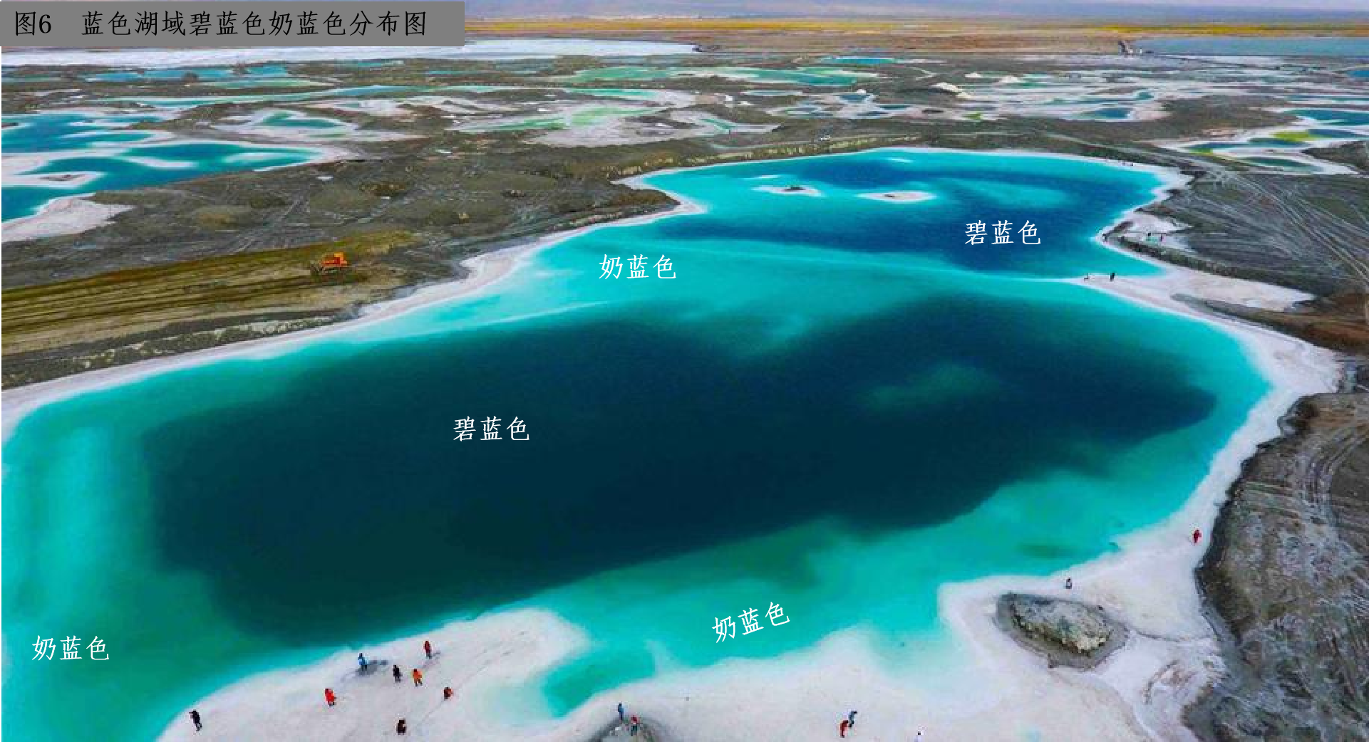 图片6.png 图片6.png