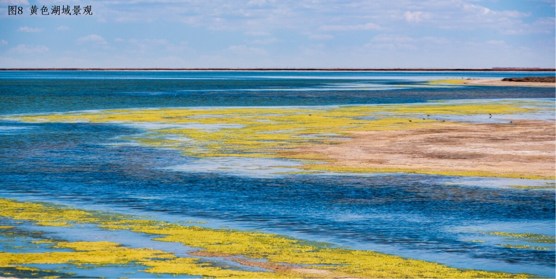 图片8.png 图片8.png