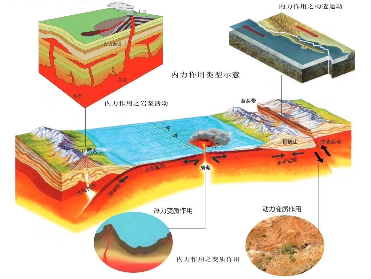 图片11.png 图片11.png