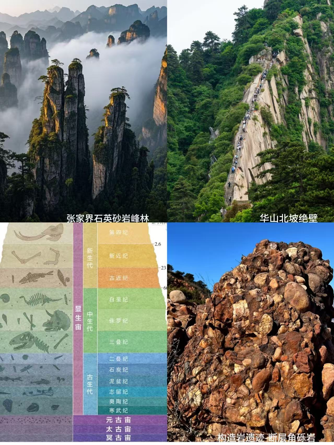 图片33.png 图片33.png