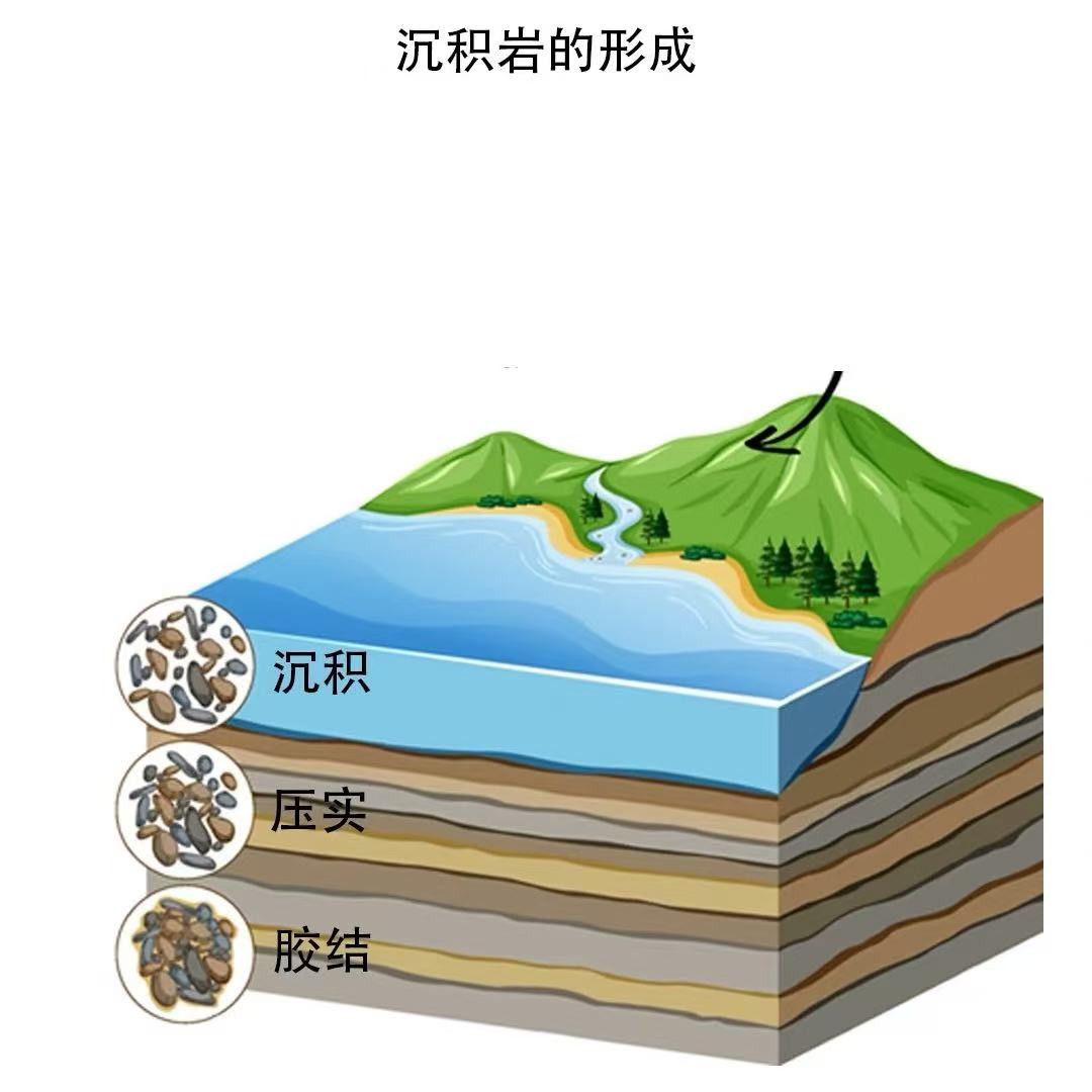 沉积岩.jpg 沉积岩.jpg