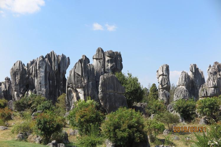 图片5.png 图片5.png