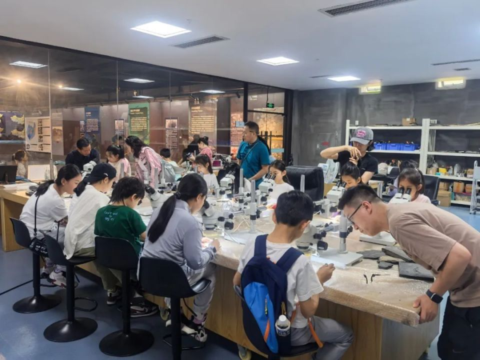 图片10.png 图片10.png