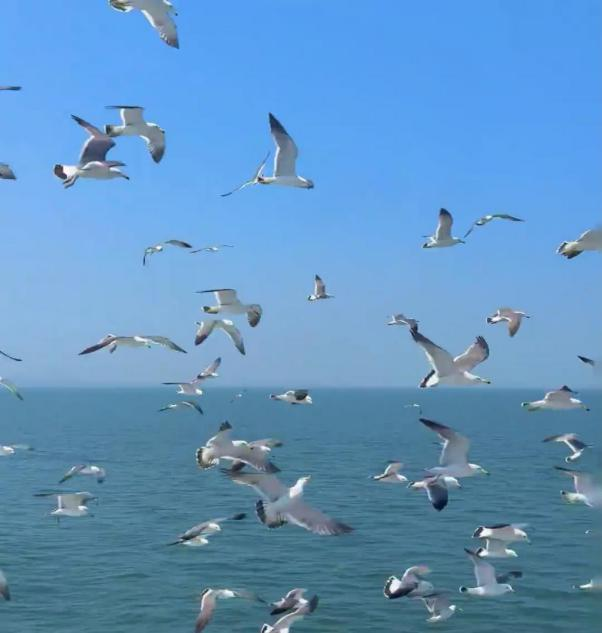 图片16.png 图片16.png