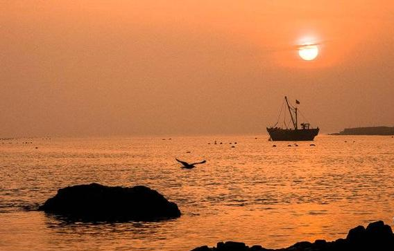 图片17.png 图片17.png