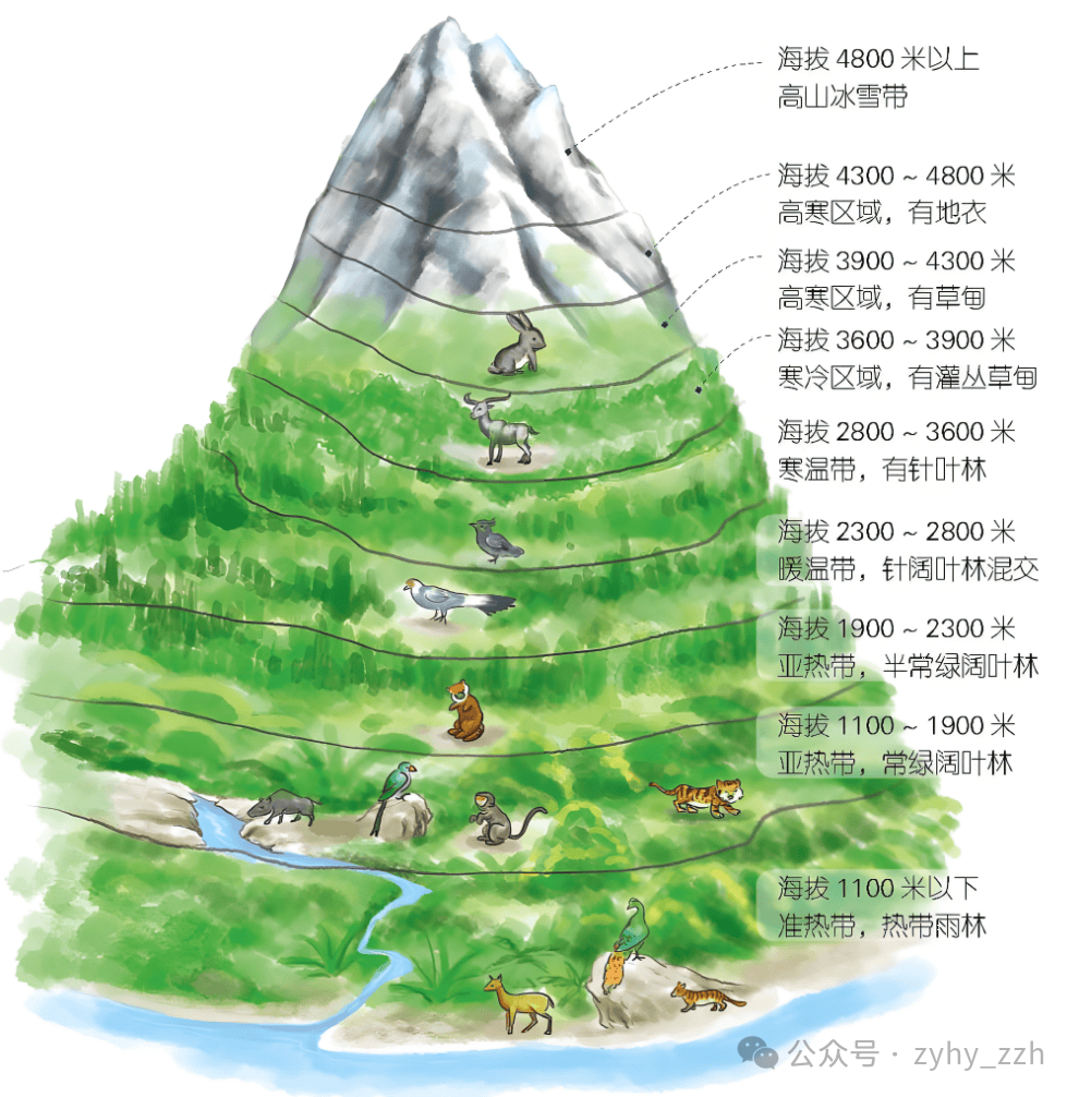 图5.png 图5.png