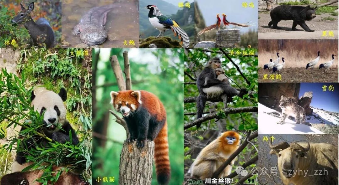 图15.jpg 图15.jpg