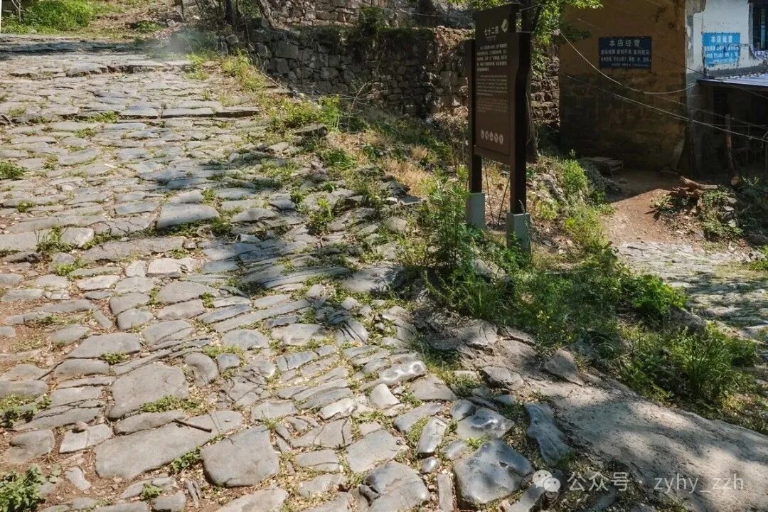 1313.jpg